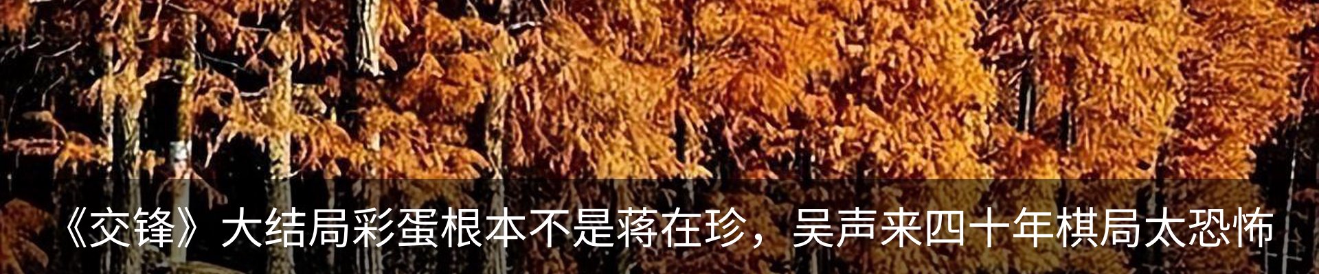 行业资讯