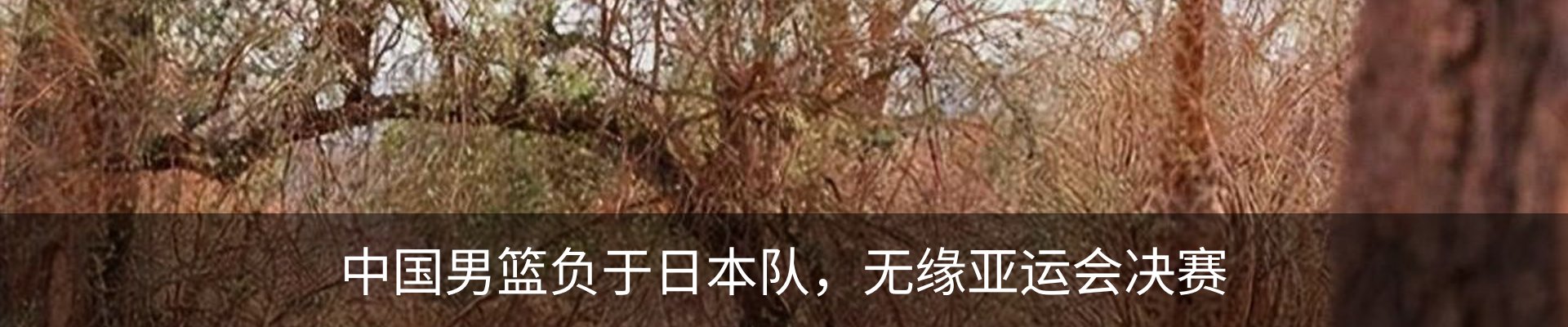行业资讯