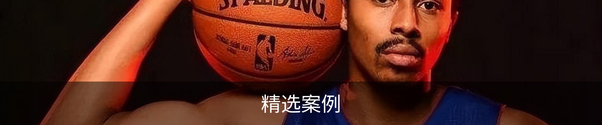精选案例